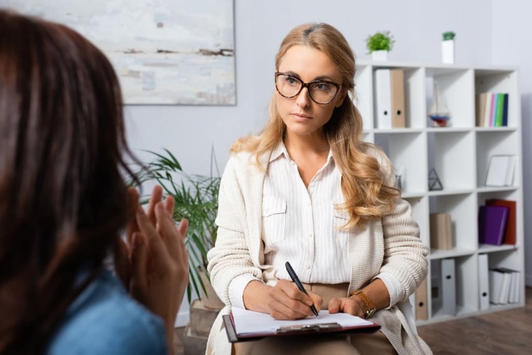 Lawyer Discussing With Her Client